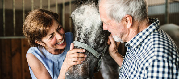 Older couple standing with their horse